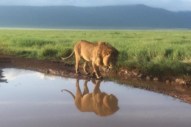 6 Days the Best of Tanzania Private Safari - Booking Information