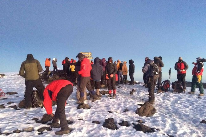 6D/5N Climbing Kilimanjaro Marangu (Coca-Cola Route). - Reviews and Ratings