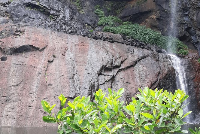 7 Cascades/Tamarind Falls Full Trek - Cancellation Policy