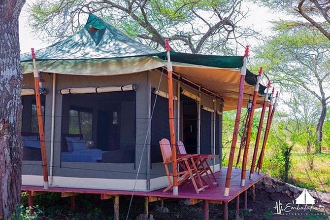 7-day Best of Tanzania Lodge Safari - The Sum Up