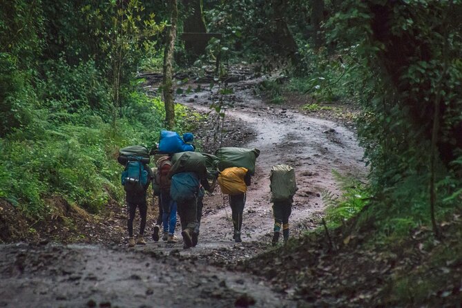 7 Day Kilimanjaro Machame Climb - Directions and Tips