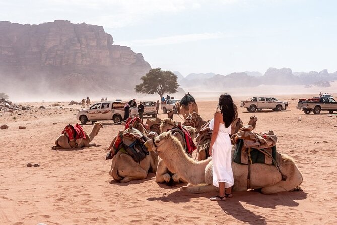 7-Day Super Luxury Tour By Toyota Land Cruiser - Customer Reviews and Ratings