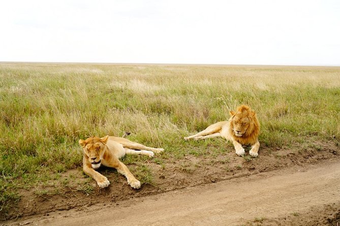 7 Day Tanzania Visiting Arusha, Lake Manyara, Serengeti, Ngorongoro & Tarangire - Itinerary Overview