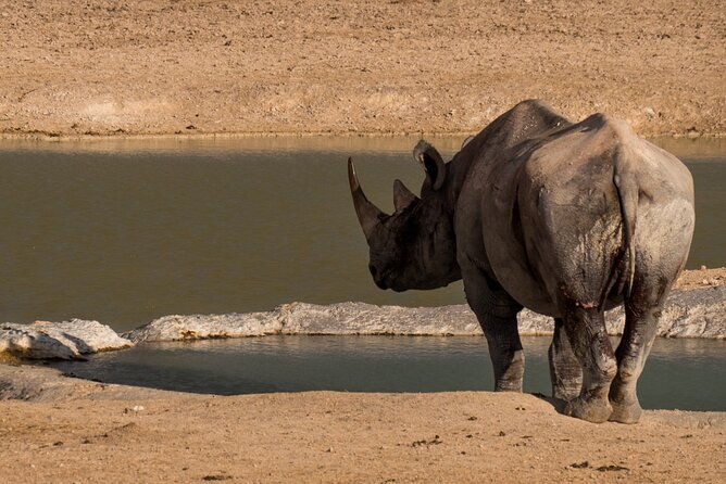 7 Day Taste of Namibia Lodging Safari - Cancellation Policy