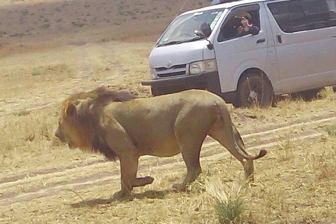 7 Days in Masai Mara- Lake Nakuru- Lake Naivasha- Amboseli National Park - Lake Naivasha Adventures