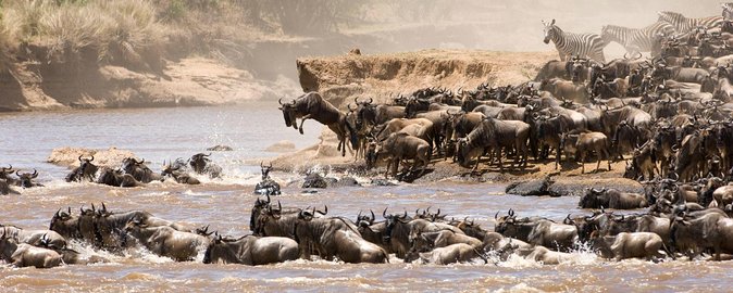 7 Days Luxury Migration Safari-Northern Tanzania - Itinerary Overview