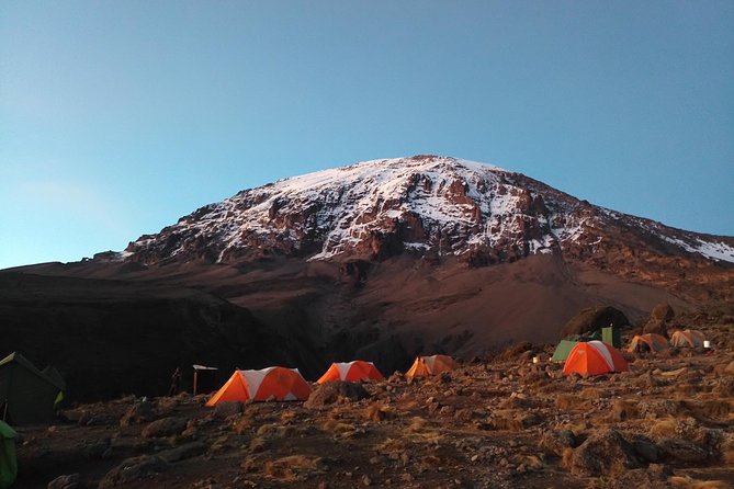 7 Days Rongai Route Climbing Mt. Kilimanjaro - Reviews and Testimonials