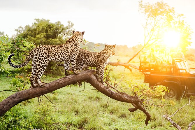 7 Days Safari Tour to Northern Tanzania National Parks