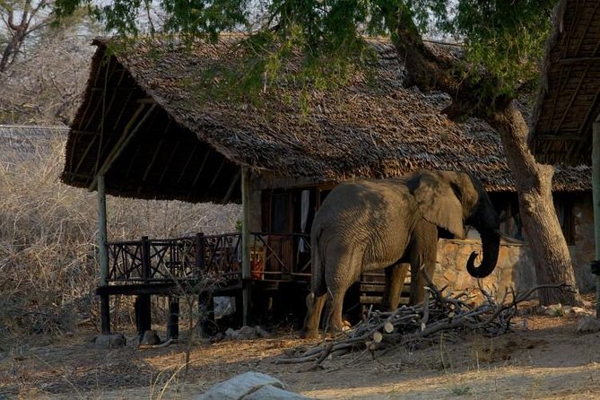7 Days- Southern Tanzania Camping Safari Experience - Day 6-7: Navigating the Selous Game Reserve