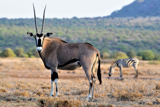 8-Day Cultural Tour and Wildlife Holiday N Kenya - Accommodation Details