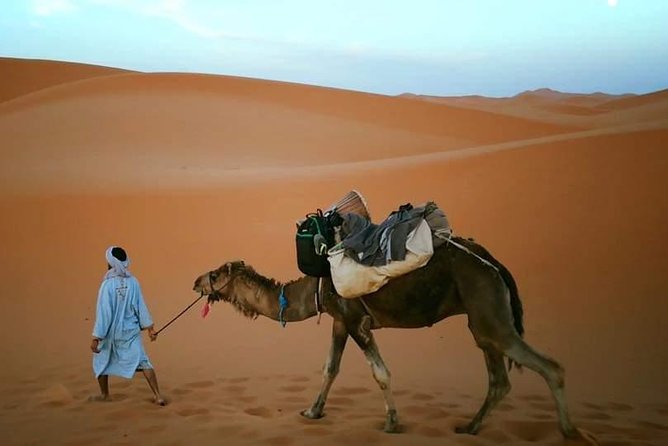 8 Day Trip to Sahara Desert and 4 Imperial Cities - Accommodation Options
