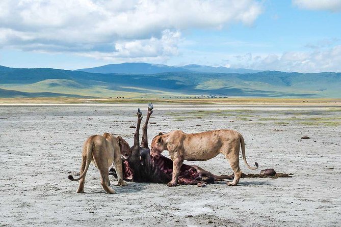 8 Days 7 Night Best Kenya and Tanzania Private Lodging Safari - The Sum Up
