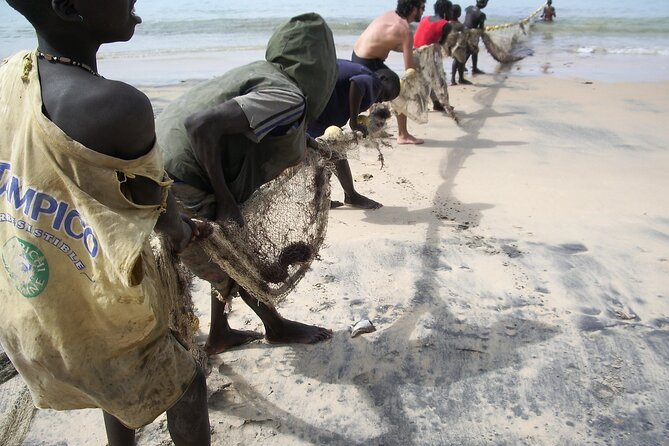 8 Days 7 Nights Senegal Highlights - Day 3: Bandia Reserve Safari