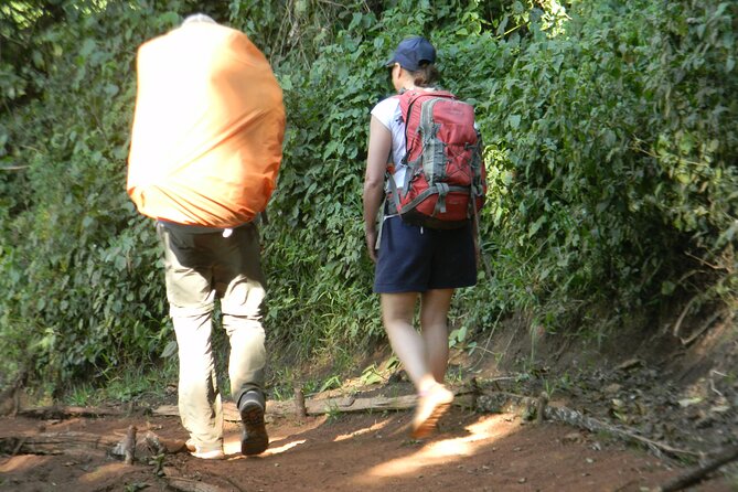 8 Days Kilimanjaro Climbing { Hiking } Tour via Lemosho Route - The Sum Up