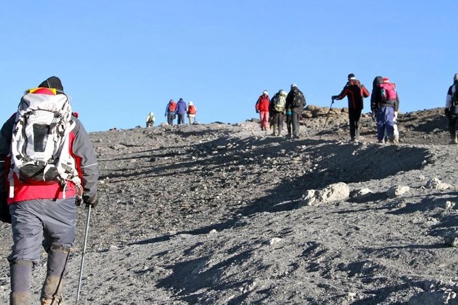 8 Days Kilimanjaro Climbing - Lemosho Route - Accommodation and Transportation