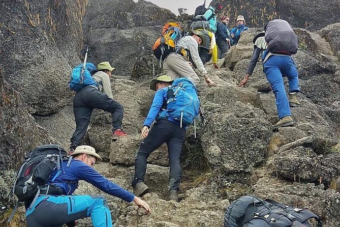 8 Days Lemosho Route Climbing - Price Details