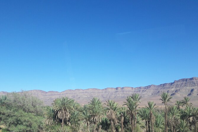 8 Days Private Tour Casablanca Marrakesh
