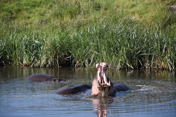 9 Days Budget Lodge Safari Tour - Additional Information