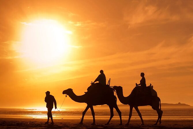 9 Days Tour in Morocco From Casablanca or Marrakech - The Sum Up