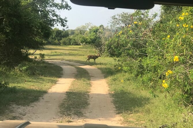 A Multi Day Tour Around Sri Lanka With Our Personal Driver - Sightseeing Attractions