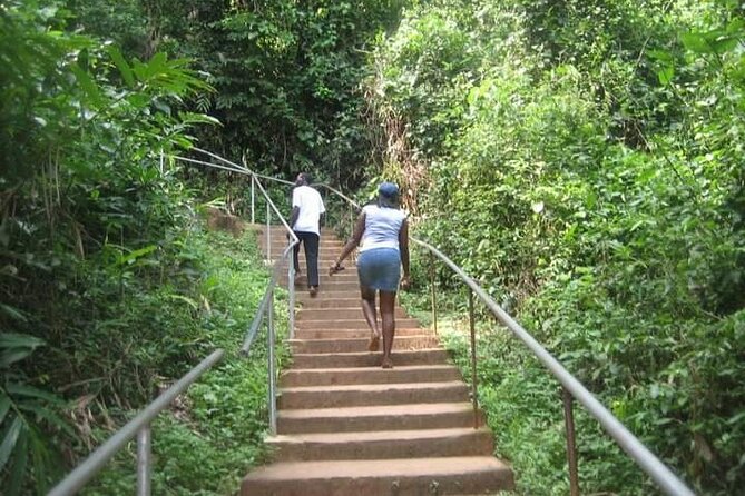 Aburi Botanical Gardens And Boti Falls Private Tour - What To Expect