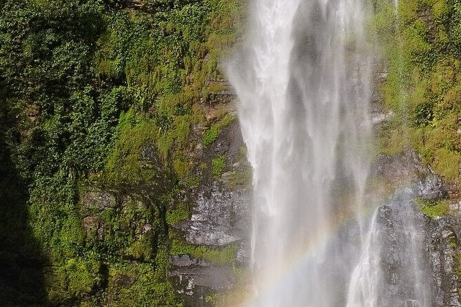 Accra: Wli Waterfalls and Tafi Monkey Sanctuary Private Day Tour - Customer Reviews