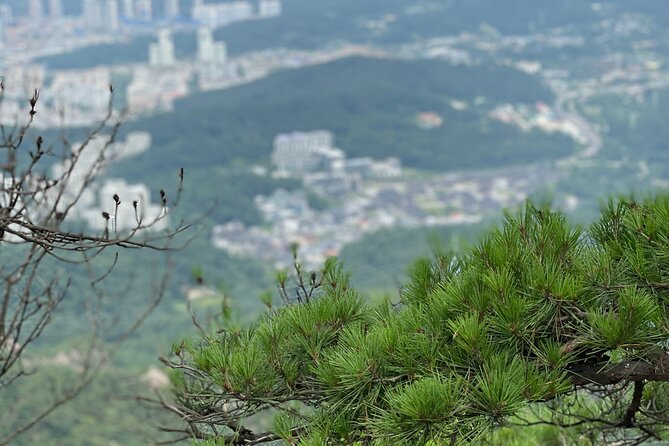 Activity - Mt. Bukhan Hiking Guided Tour - Tour Direction and Trail Options