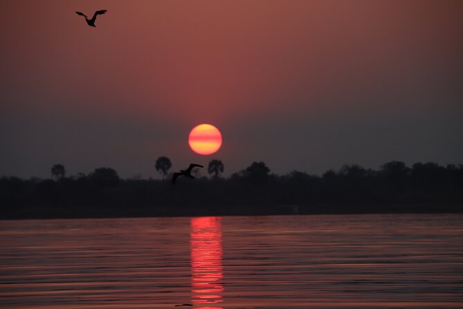 Adrenaline Jet Boat Safari in Victoria Falls - The Sum Up