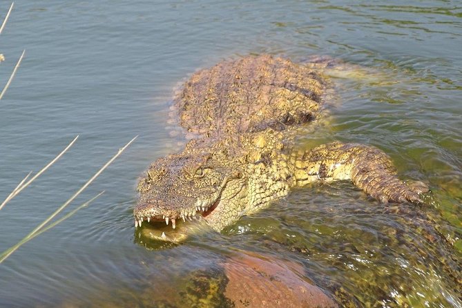 Agadir Crocoparc & Visite Souk Lhad Agadir Ticket Included - Tour Itinerary