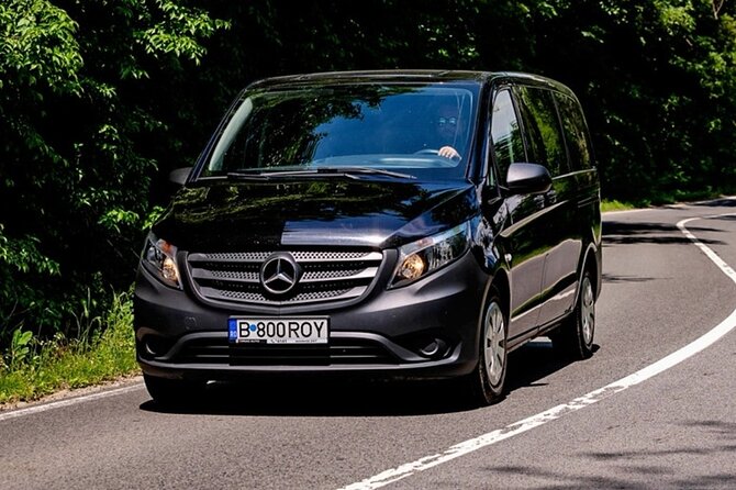 Airport Transfer With Mini-Van for 8 Passangers - Accessibility Features