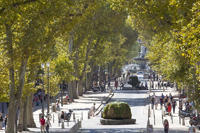Aix En Provence and Wine Tasting Private Full Day Tour - Booking Information