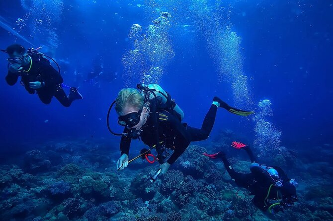 Alanya Scuba Diving Tour - What To Expect