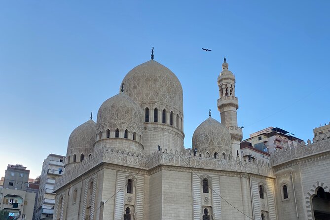 Alexandria Highlights Day Trip With Seafood Lunch - Professional Guidance