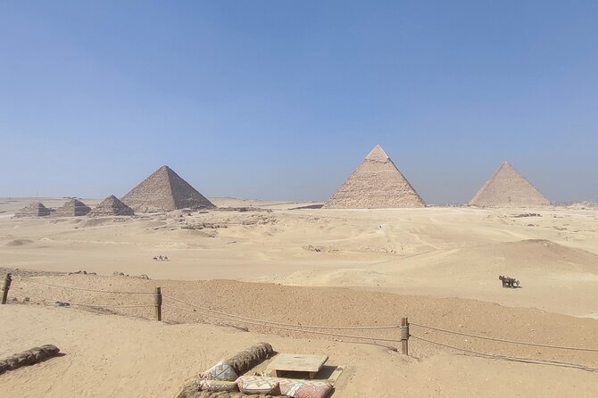 All Inclusive Half Day Tour to Giza Pyramids & Sphinx &Camel Ride - Customer Reviews