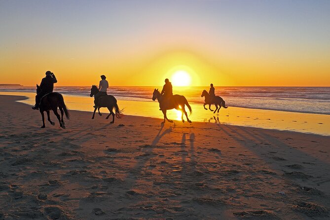 Antalya Horse Riding Forest and Beach - Directions