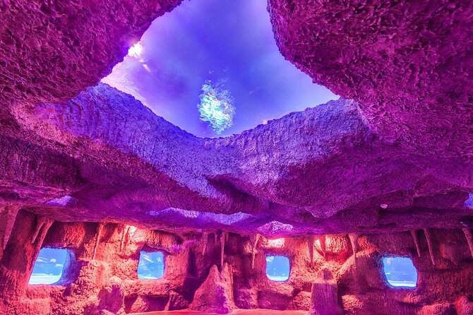 Antalya Tunnel Aquarium With Face2face Transfers Include - Accessibility and Attire
