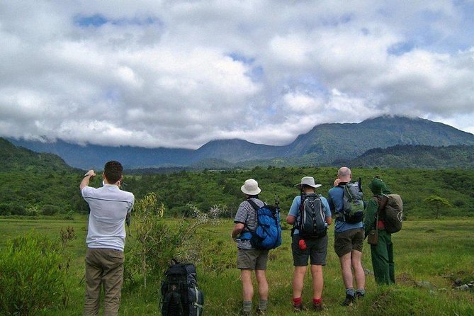 Arusha National Park Game Drive and Walking Safari Day Tour