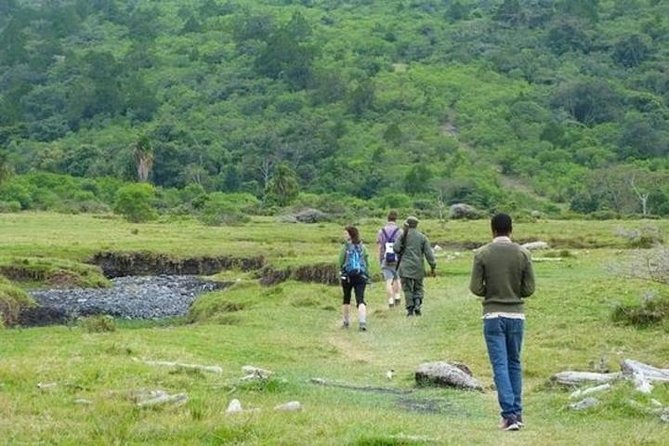 Arusha National Park Guided Day Tour From Arusha - Additional Information