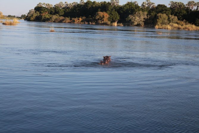 Batoka Sunset Cruise - What To Expect and Additional Info