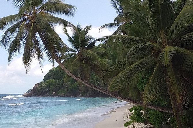 Beach Hopping Tour on Mahe Seychelles - Special Offer Details