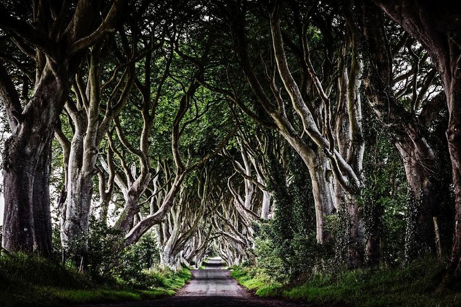 Belfastblacktaxitour Game of Thrones North Coast 8 Hour Tour - Scenic Stops