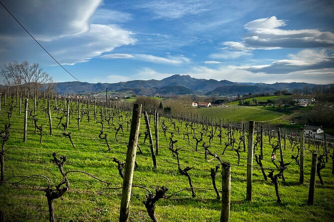 Biarritz: 6 Hours Excursion to Visit the Basque Coast! - Accessibility and Travel Considerations