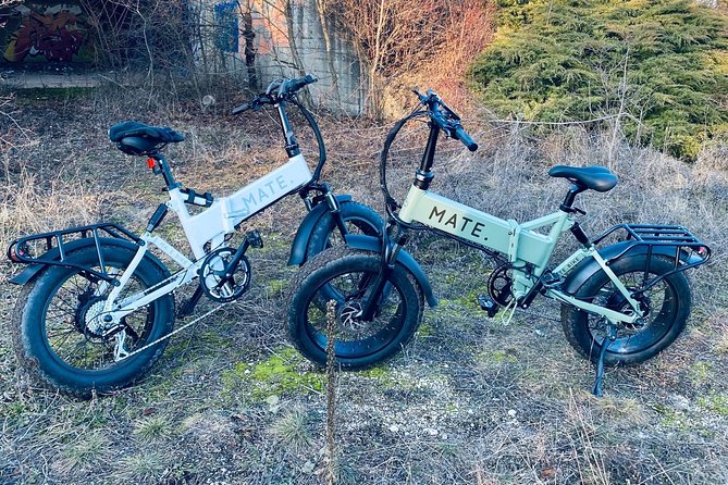 Bike, Boat & Gear Rental - Pricing and Reviews