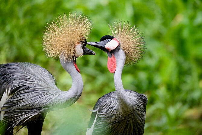 Birding And Nature Tours - Cancellation Policy