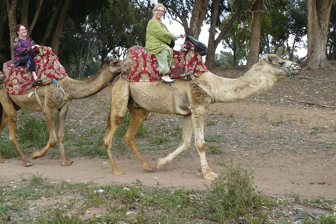 Camel Agadir - Accessibility Details