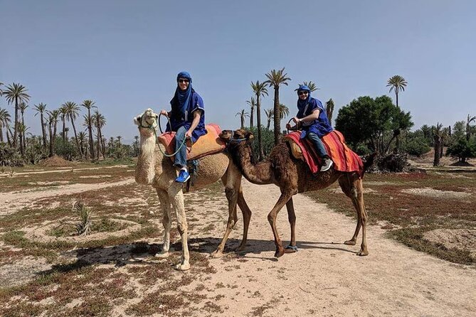 Camel Ride Experience in the Desert of Marrakech - Included Services