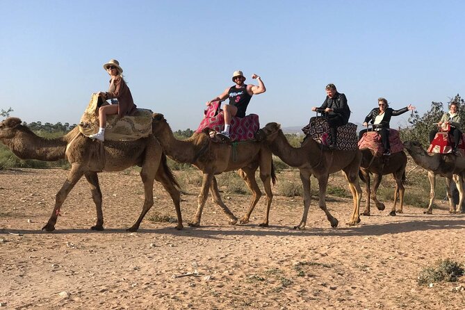 Camel Ride in Agadir at Sunset With Dinner (Bbq) - Frequently Asked Questions