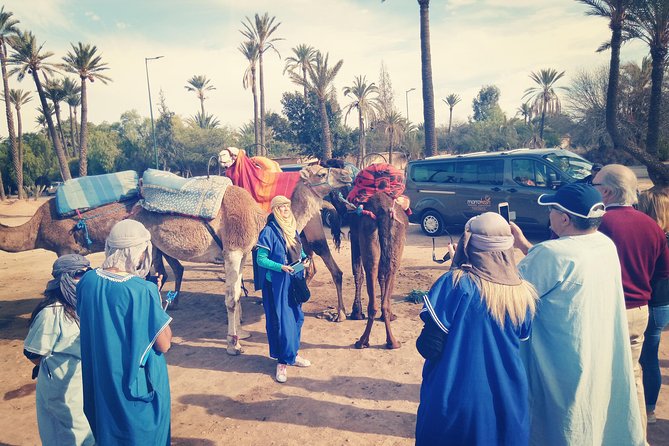 Camel Ride in Marrakech Palmeraie Area - Customer Support