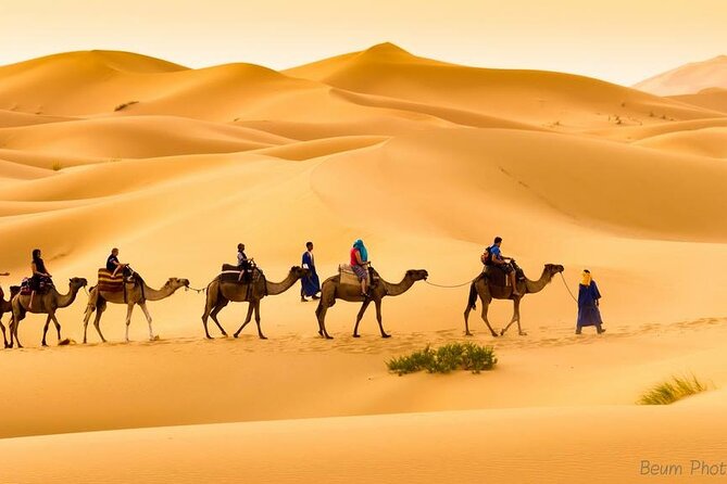 Camel Ride & Overnight Stay in Desert Camp Merzouga - Traveler Information