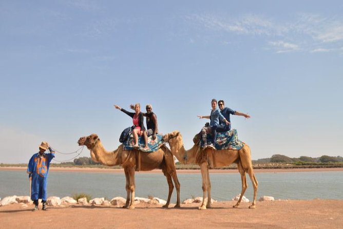 Camel Riding in Agadir for Cruise Ship Passengers - Additional Information